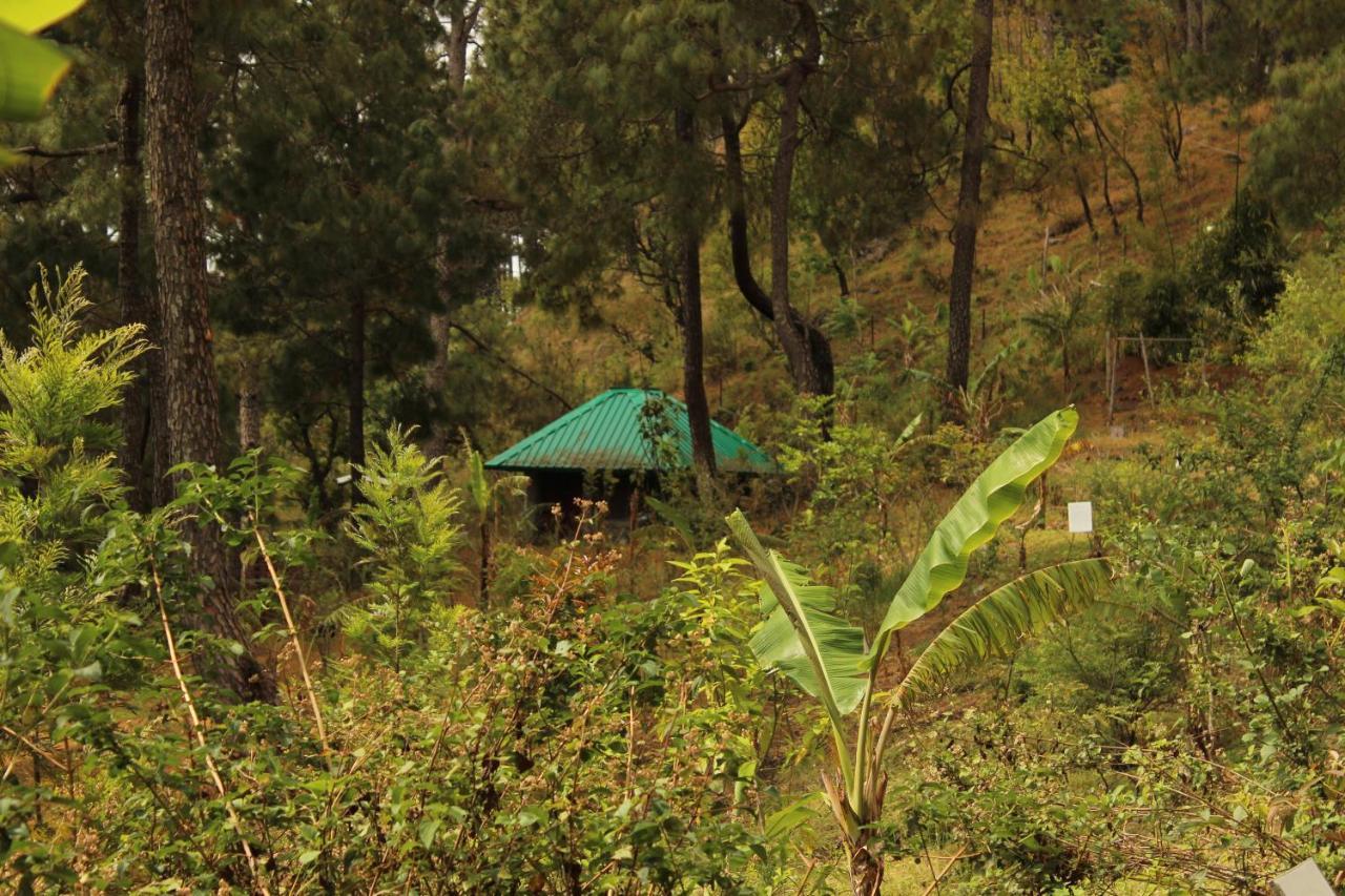 Heal Farm - Himalayan Eco Alternative Lifestyle For Agriculture Recreation And Meditation Nainital Eksteriør bilde