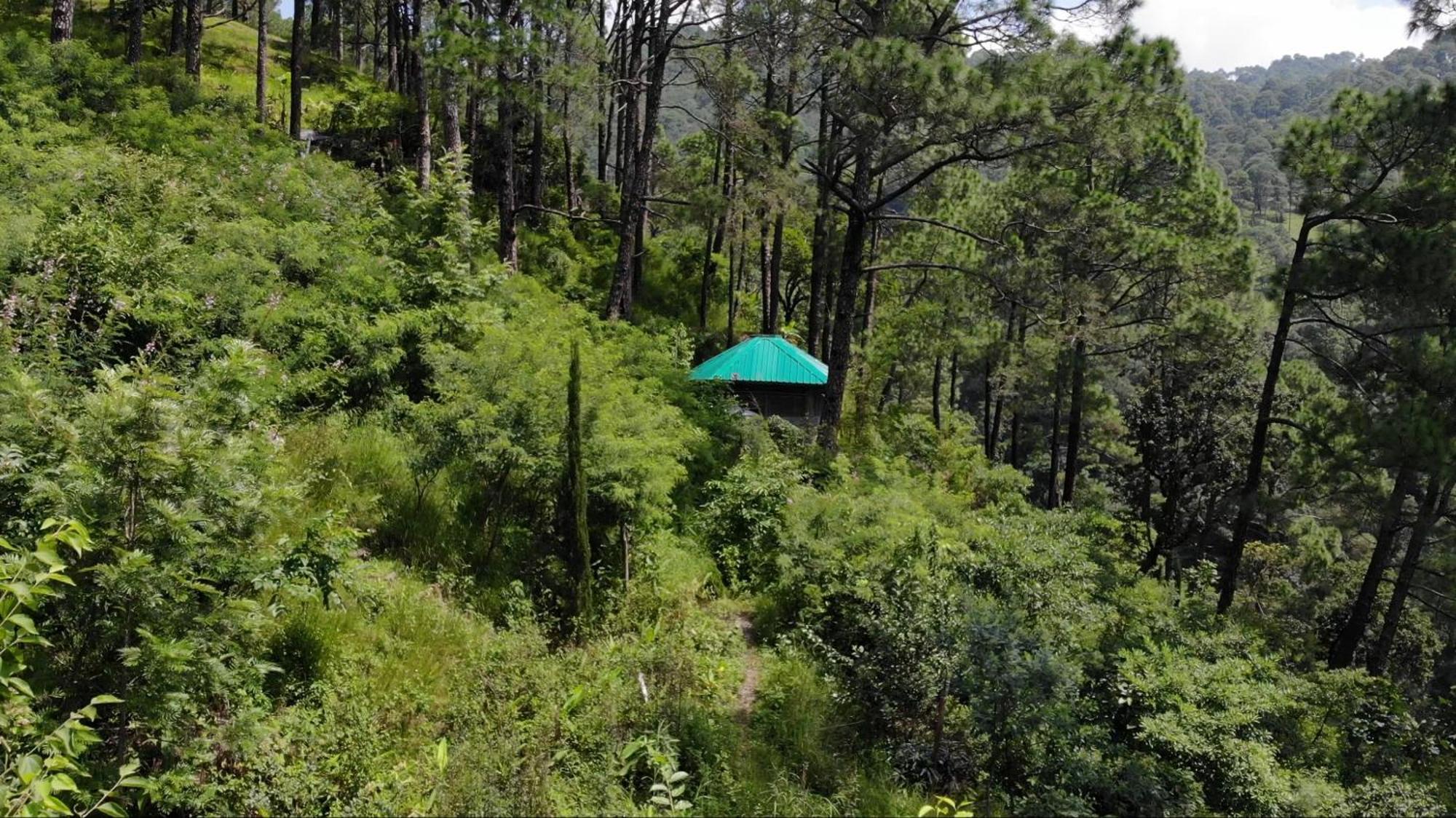Heal Farm - Himalayan Eco Alternative Lifestyle For Agriculture Recreation And Meditation Nainital Eksteriør bilde