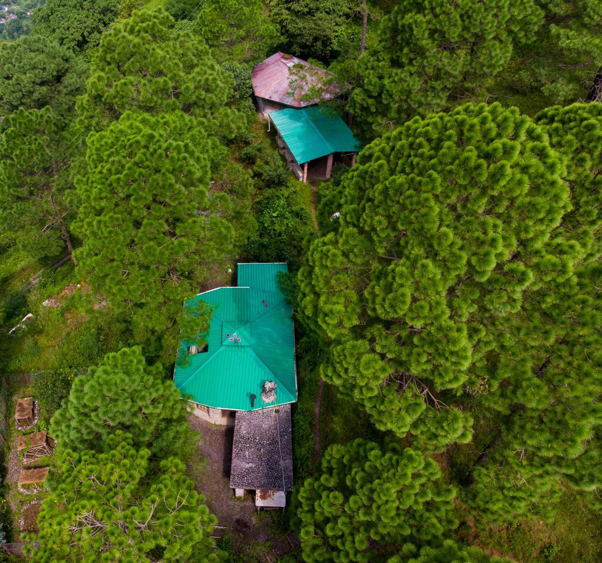 Heal Farm - Himalayan Eco Alternative Lifestyle For Agriculture Recreation And Meditation Nainital Eksteriør bilde