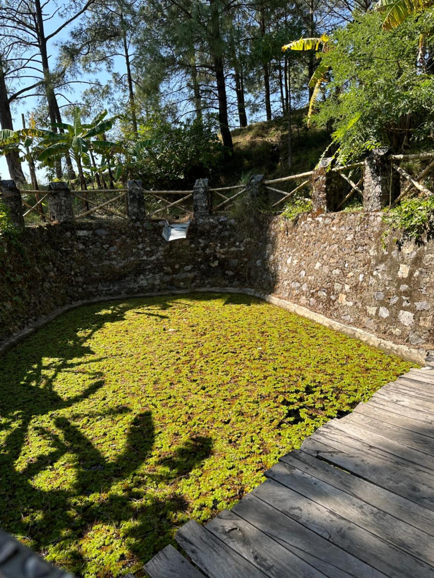 Heal Farm - Himalayan Eco Alternative Lifestyle For Agriculture Recreation And Meditation Nainital Eksteriør bilde
